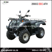 250cc CEE Jianshe ATV com guincho, Farm ATV Big Engine 250cc água refrigerada EEC Aprovado, CEE Quad 250cc Super Qualidade